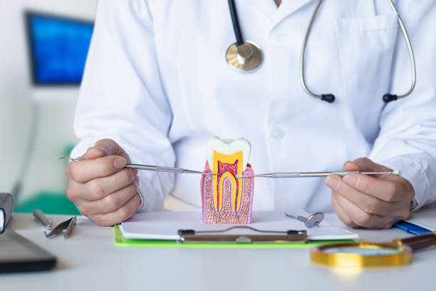 Best Emergency Dentist for Lost Fillings or Crowns in Sunriver, OR